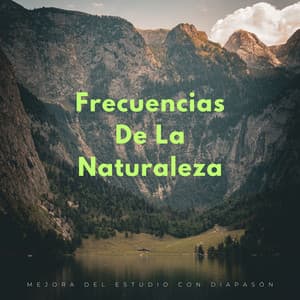Frecuencias De La Naturaleza: Mejora Del Estudio Con Diapasón - Efectos de sonido de la madre naturaleza