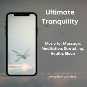 Ultimate Tranquility - Music for Massage, Meditation, Stretching, Health, Sleep - Portable Music Vibes