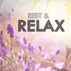 Rest & Relax - Bedtime Songs Collective