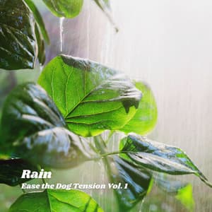 Rain: Ease the Dog Tension Vol. 1 - Relaxing Pet Music