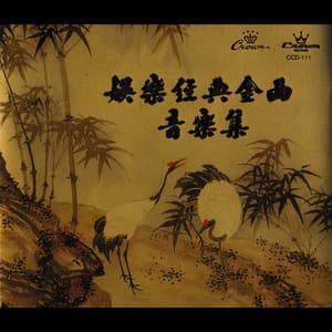 娛樂經典金曲音樂集 - Studio Musicians