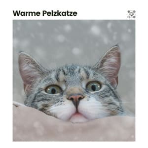 Warme Pelzkatze - Katzenmusik