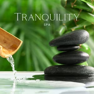 Tranquility Spa: Ultimate Relaxing Piano Music for Wellness with Gentle River Sounds and Birds - Tranquility Area of Zen