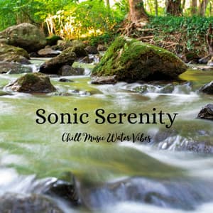 Sonic Serenity: Chill Music Water Vibes - Mindful Measures