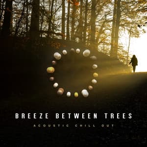 Breeze Between Trees - Acoustic Chill Out