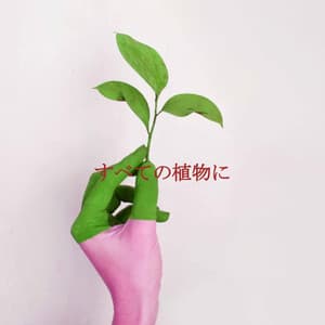 すべての植物に - Jazz BGM
