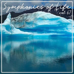 Symphonies of Life, Vol. 67 - Im Abendrot, Romantische Chormusik - Rundfunkchor Berlin