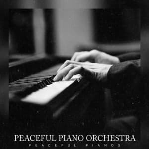 Peaceful Piano Orchestra - Peaceful Pianos