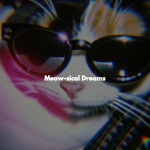 Meow-sical Dreams - Coffee House Playlist