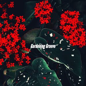 Gardening Groove - Hotel Jazz Deluxe