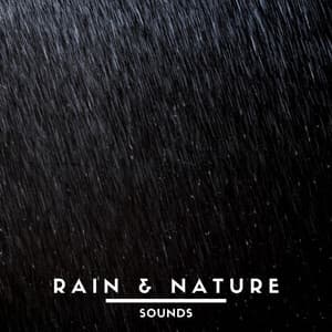 Rain & Nature Sounds - Natural Sounds Selections