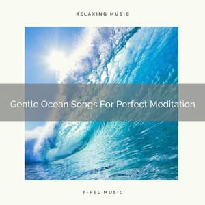 Gentle Ocean Songs For Perfect Meditation - Sanctuary Of Relax