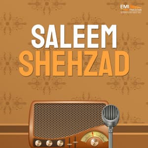 Saleem Shehzad - Saleem Shehzad