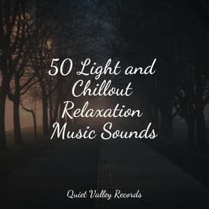 50 Light and Chillout Relaxation Music Sounds - Water Sound Natural White Noise