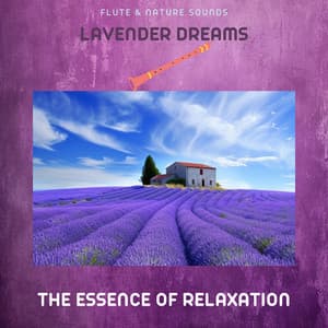 Lavender Dreams: The Essence of Relaxation - Flute & Nature Sounds