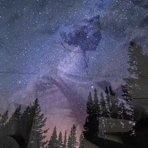 Chopin: Complete Nocturnes - Pianozone