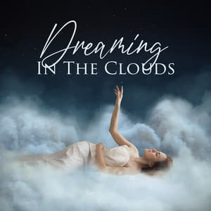 Dreaming In The Clouds - Enlightened State