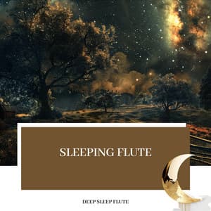 Sleeping Flute: The Path to Peaceful Rest - Deep Sleep Flute