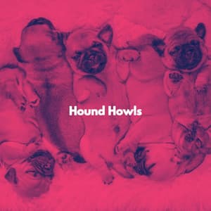 Hound Howls - Música para Bares De Lujo