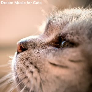 Dream Music for Cats - Music For Cats