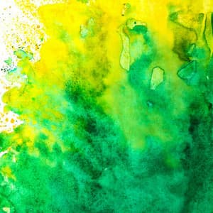 Music for Calming Evening Relax - Popular Classic Bossa Nova