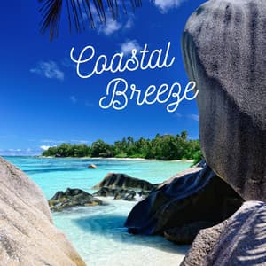 Coastal Breeze: Chillout Mix - DJ Deep House