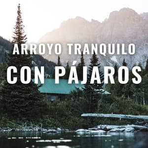 Arroyo Tranquilo Con Pájaros - Balneario de agua