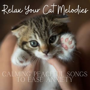 Relax Your Cat melodies - RelaxMyCat