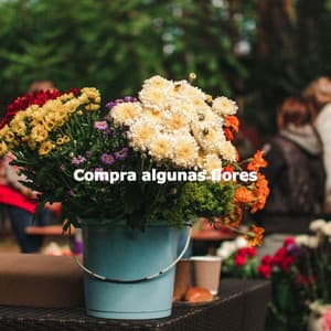 Compra algunas flores - Background Instrumental Jazz