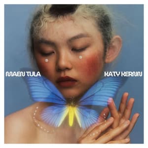 Souffle de l’Esprit Sauvage - Maen Tula