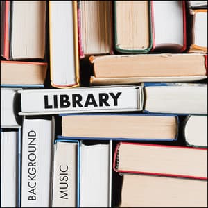 Library Background Music - Jazz Paradise Music Moment