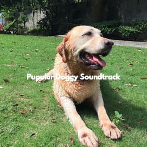 Pupular Doggy Soundtrack - Chill My Pooch