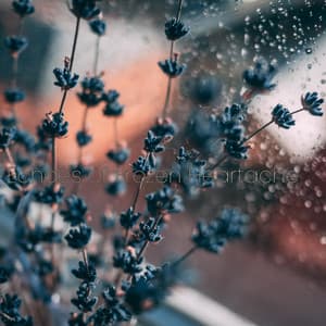 Echoes of Frozen Heartache - Solis Reverie