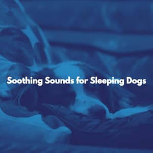 Soothing Sounds for Sleeping Dogs - New Orleans Jazz Band