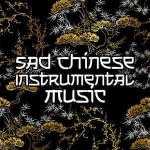 Sad Chinese Instrumental Music: Nostalgic Oriental Mood - Samantha Delight