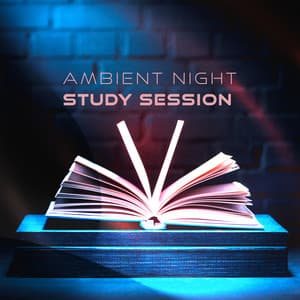 Ambient Night Study Session: Interstellar Sounds for Intense Studying - Effective Study Masters