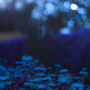 Music for Chilled Shadows - Classic Jazz