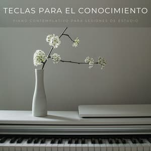 Teclas Para El Conocimiento: Piano Contemplativo Para Sesiones De Estudio - Piano: relajación clásica