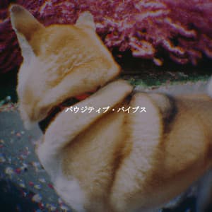 パウジティブ・バイブス - Good Morning Jazz Cafe