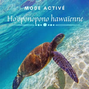 Mode activé: Ho'oponopono hawaïenne: Détente naturelle, Calme béat, Forêts hawaïennes, Vagues de l'océan - Oasis Des Bruits Naturels