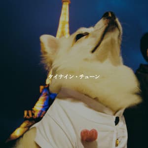 ケイナイン・チューン - Happy Study & Chill