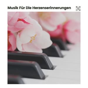 Musik Für Die Herzenserinnerungen - Klaviermusik