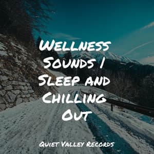 Wellness Sounds | Sleep and Chilling Out - Thunder Storms & Rain Sounds