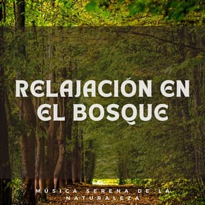 Relajación en el Bosque: Música Serena de la Naturaleza - Sonidos naturales del bosque