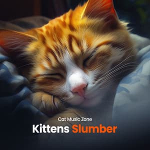 Kittens Slumber - Cat Music Zone