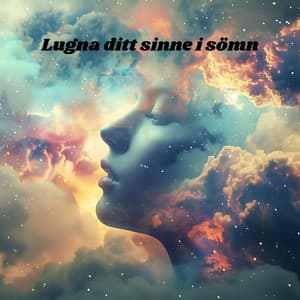 Lugna ditt sinne i sömn: lindra sömnlöshet och djupsömn - Doğanın Müziği