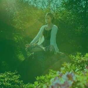 Music - Tranquil Rest - Nature Atmospheres