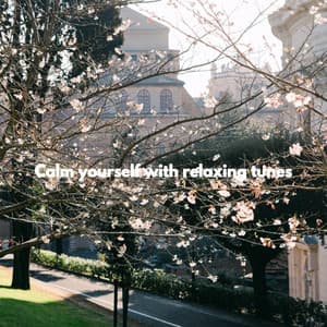 Calm yourself with relaxing tunes - Good Night Jazz