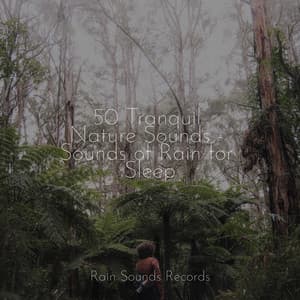 50 Tranquil Nature Sounds - Sounds of Rain for Sleep - Meeresrauschen