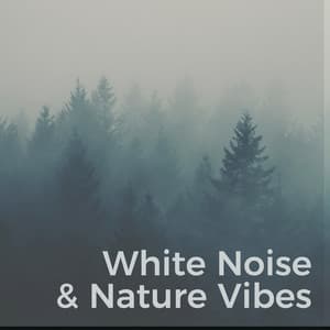 White Noise & Nature Sounds - White Noise Rain